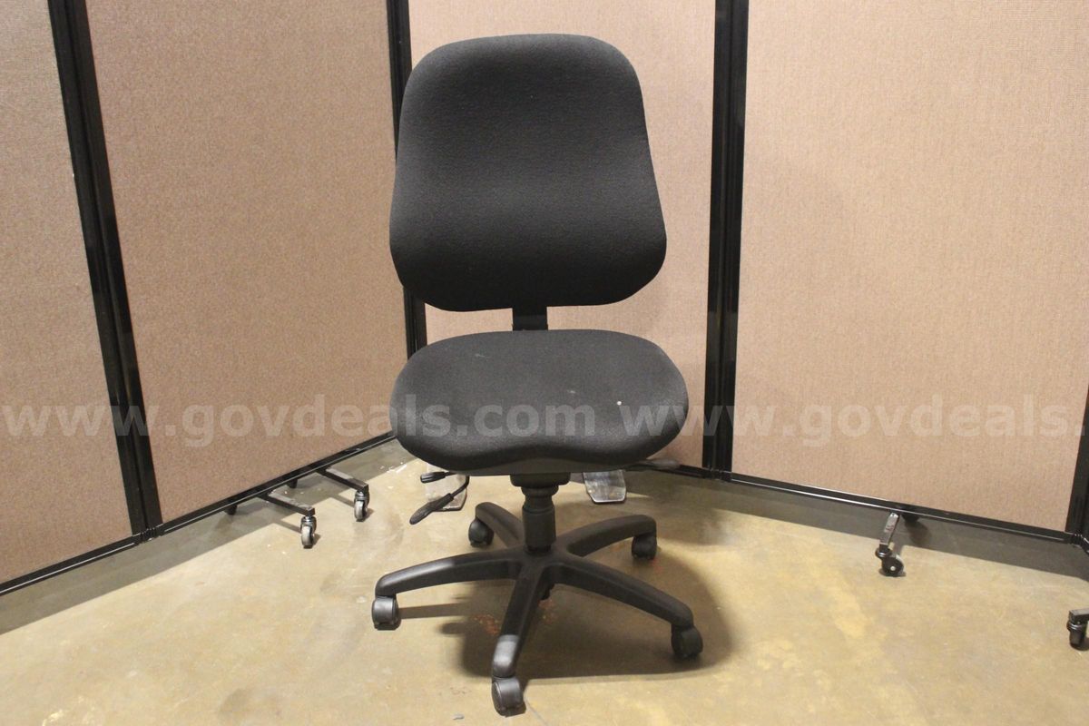 (1) Ergo Genesis Body Bilt Task Chair