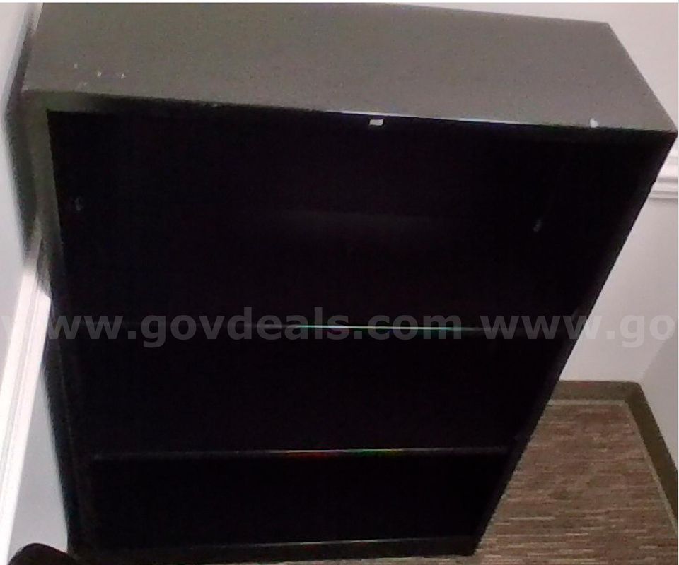 Storage Cabinet with Two Adjustable Shelves - Jackie S