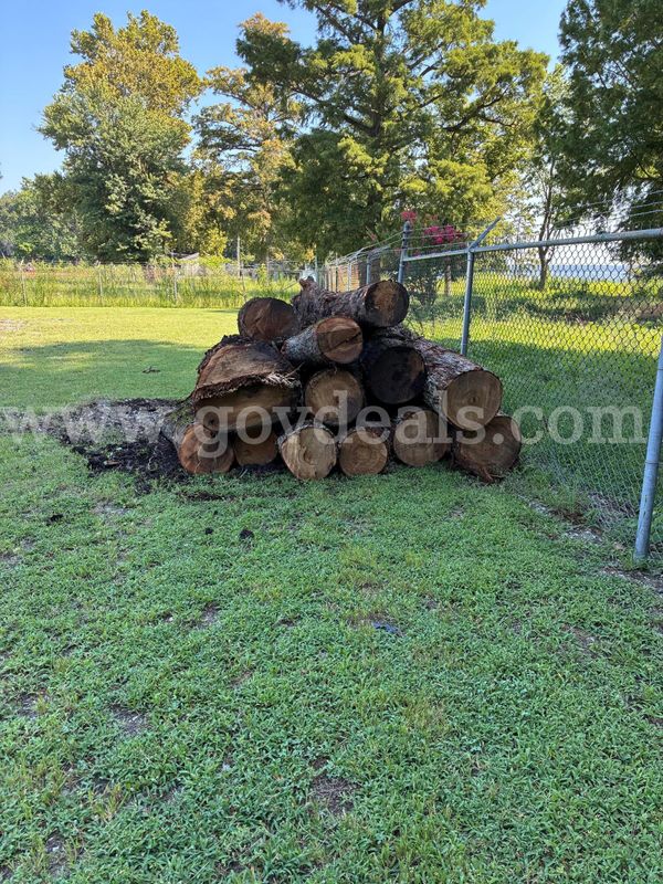 Cypress Logs (Qty-13)