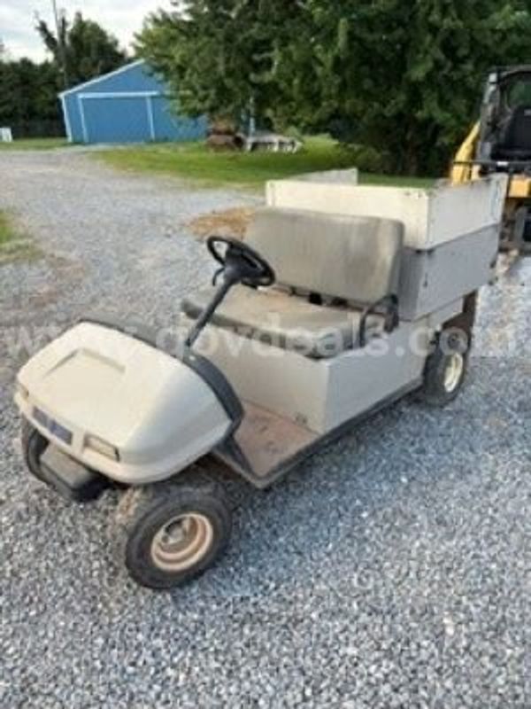 2 Golf Carts