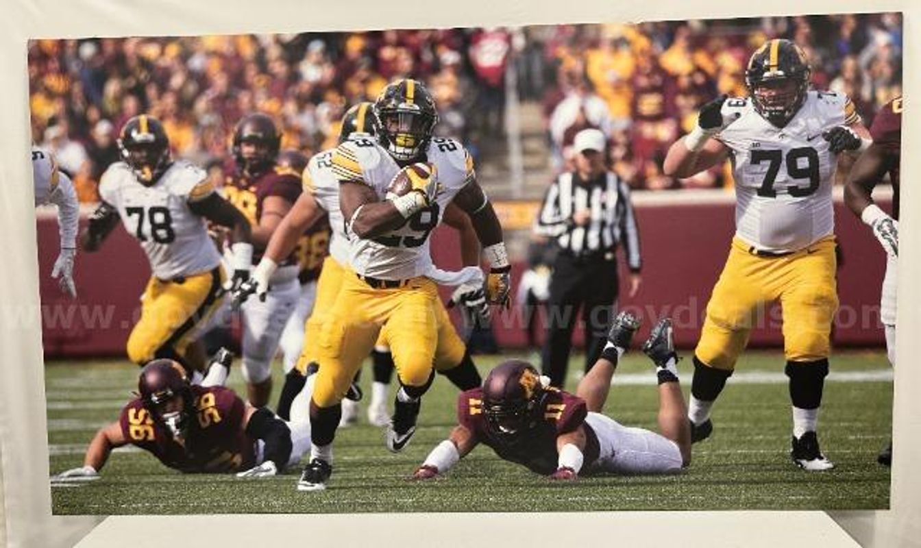 Hawkeye Football "Leshun Daniels Run vs. Minnesota" Poster Board