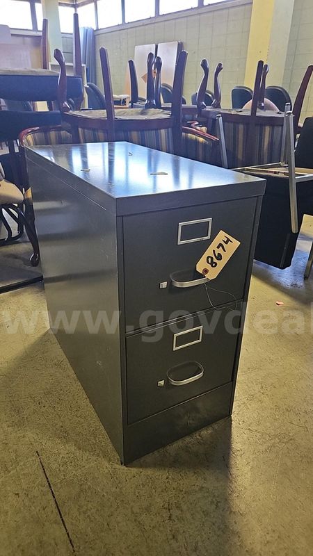 MSU Lot# 8674 - 2 Drawer Filing Cabinet
