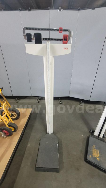 **** Seca Medical Scale **** (I)