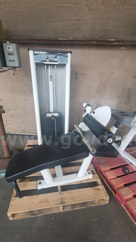 **** PARAMOUNT HORIZONTAL LEG CURL GYM EQUIPMENT **** (ED)