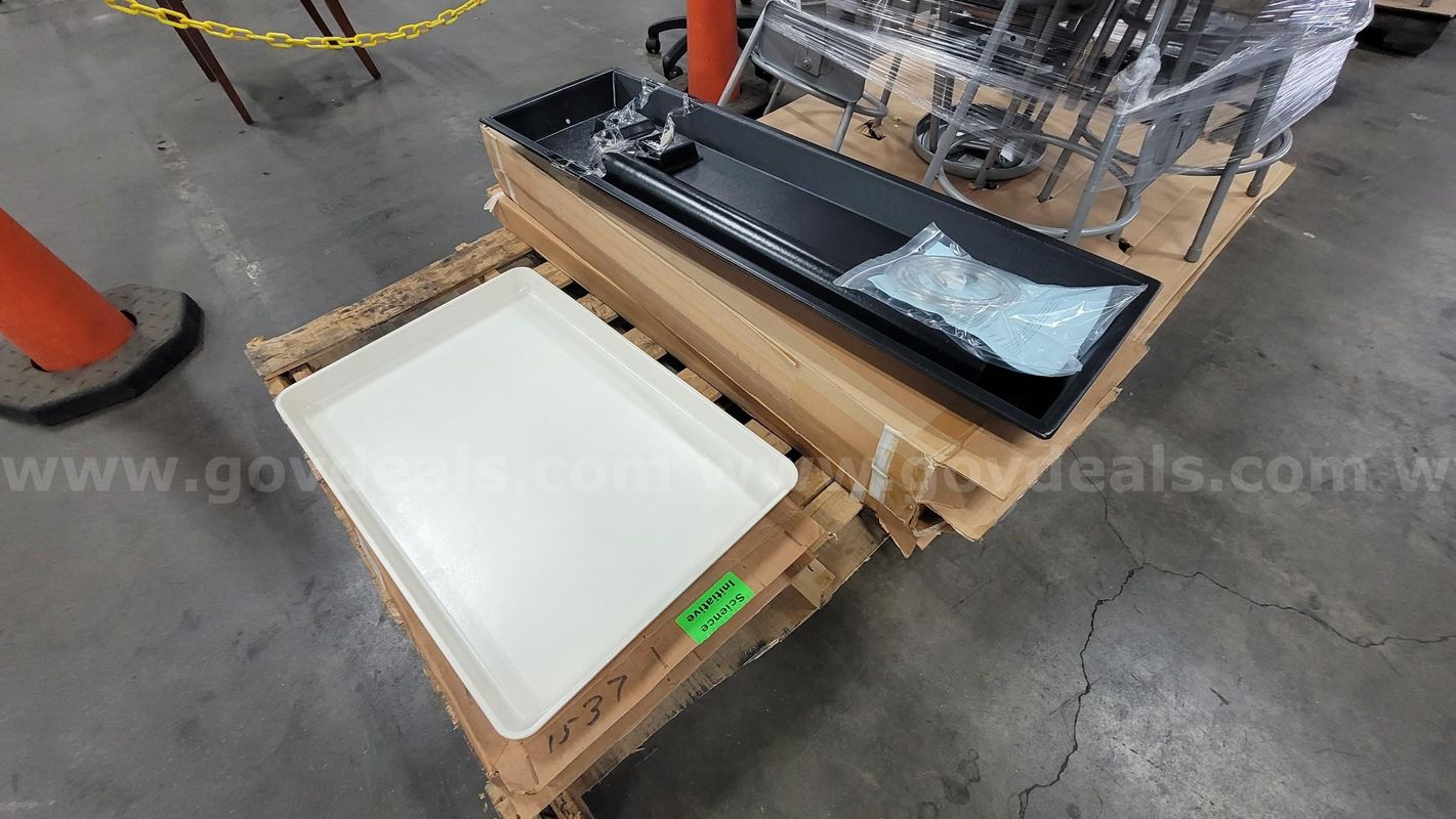 **** FISHER SCIENTIFIC PALSTIC TRAY **** (I)