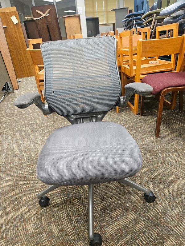 Chair - Gray Ergonomic Mesh Swivel Office Chair with Arms
