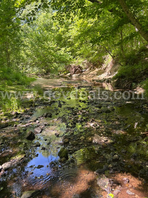 3.87 acres of Wooded Land in Cape Girardeau, Missouri