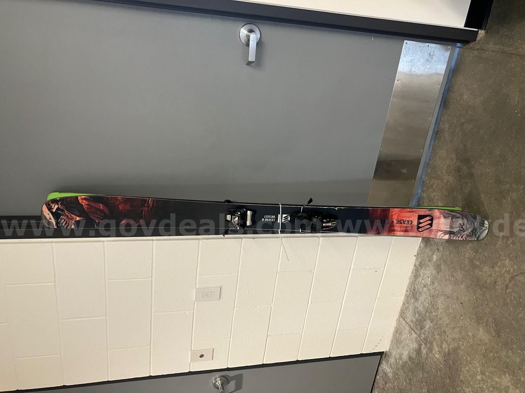 Skis