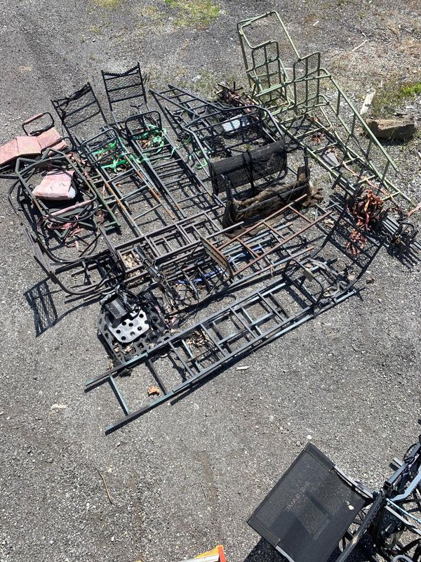 approx. 12 various tree stands, Lot 2 (DNR Mississinewa Lake State Park)