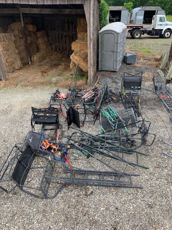 approx. 12 various tree stands, Lot 10 (DNR Mississinewa Lake State Park)