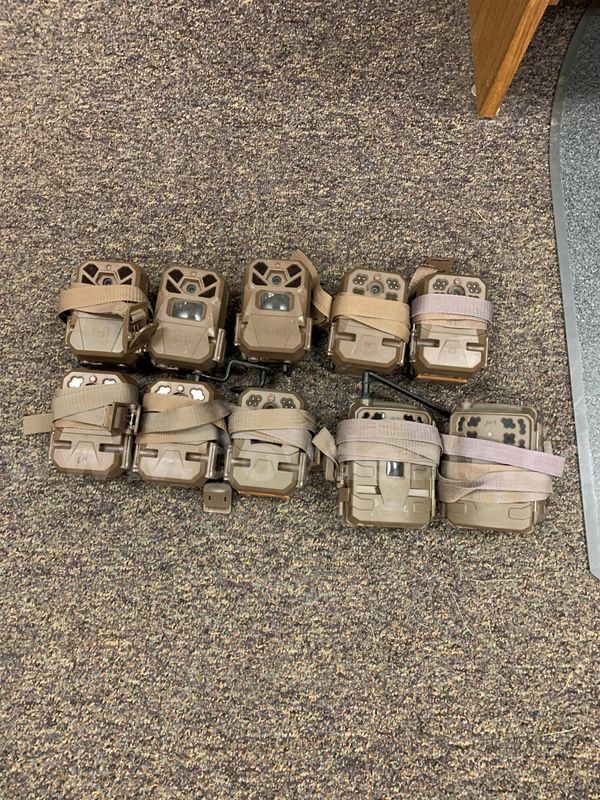 approx. 10 various tree stands, Lot 12 (DNR Mississinewa Lake State Park)