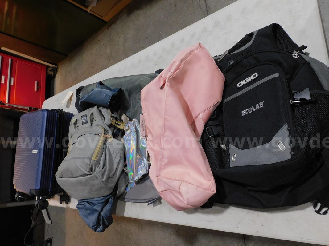 Suitcase and Bags (FS)
