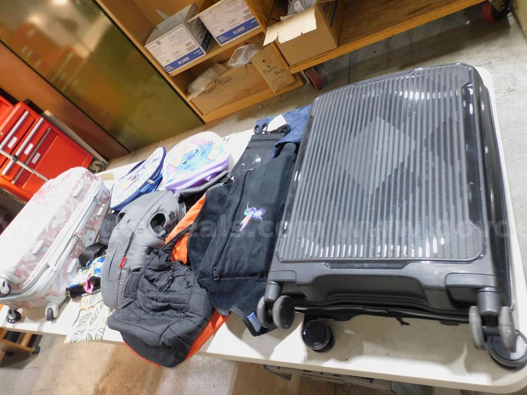 2 Suitcases & Bags (FS)