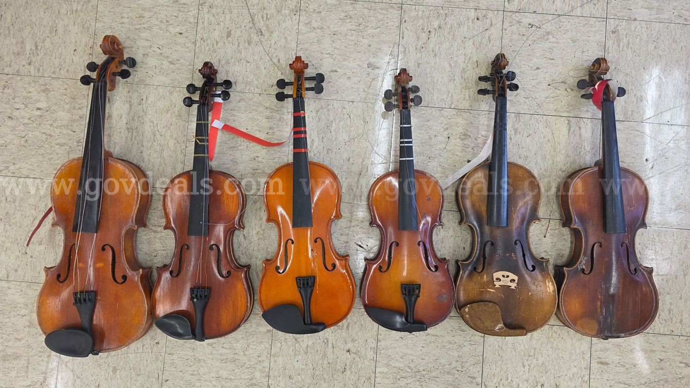 Asset #349: Violins (6), Violas (3)