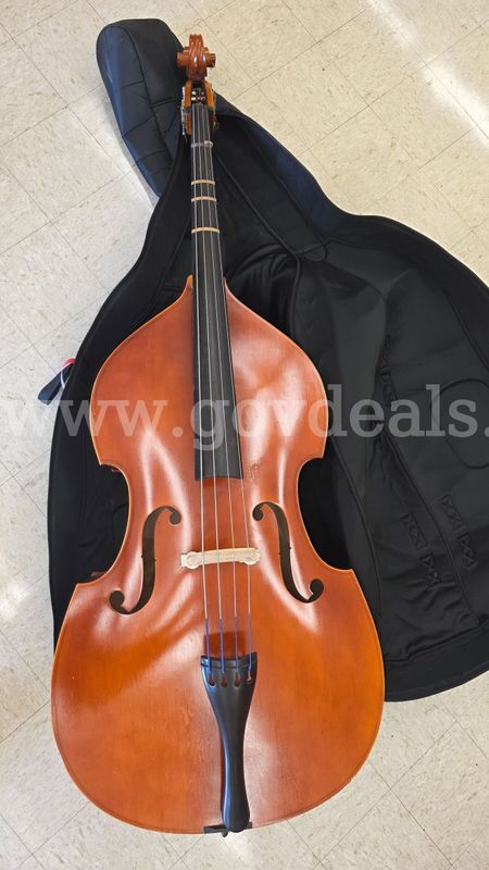 Asset #369: String Basses (5), Cello (1)