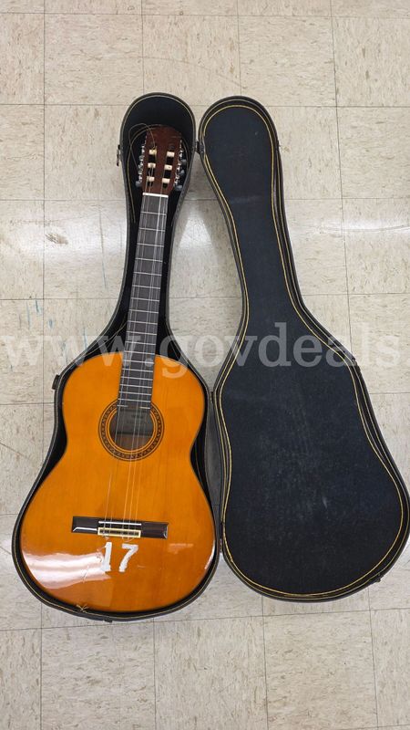 Asset #373: Guitars