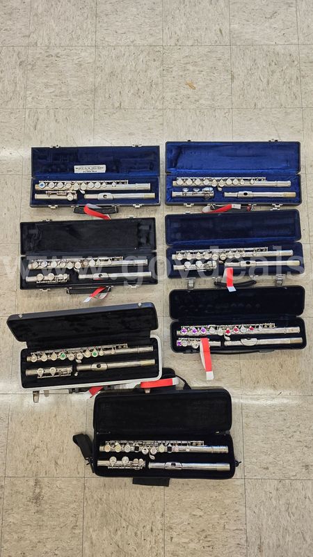 Asset #386: Flutes