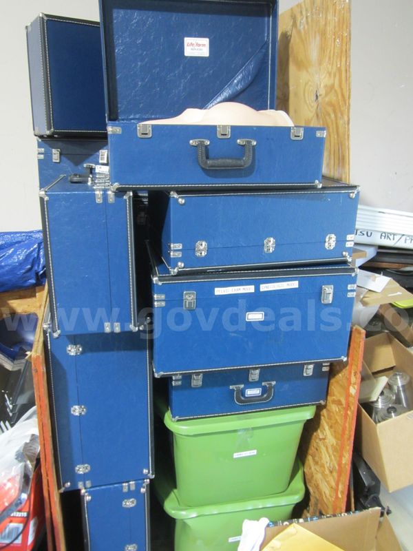 LIFE FORM EXAM TRAINING MODELS LOT 731