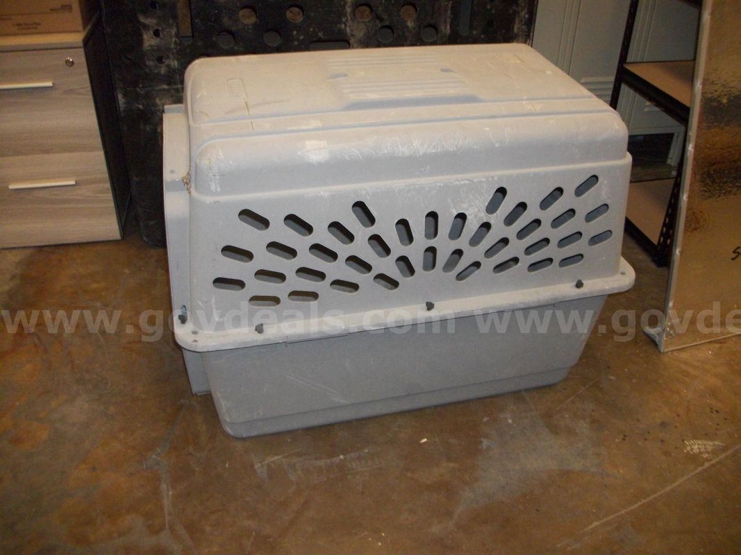 Kennel