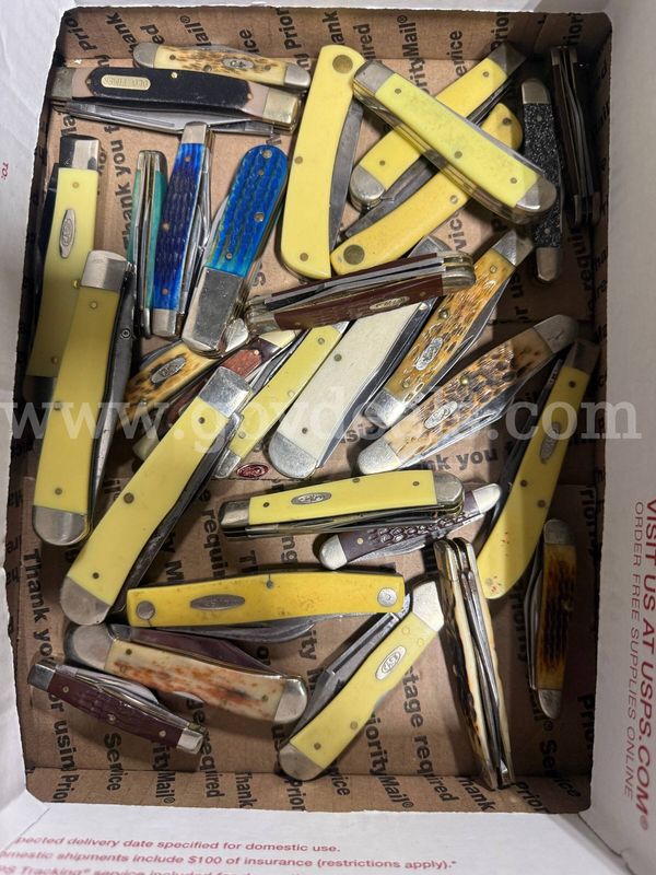 Lot of 30 Case Knives