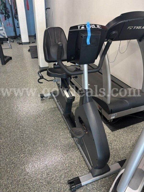 TRUE Recumbent Stationary Bike