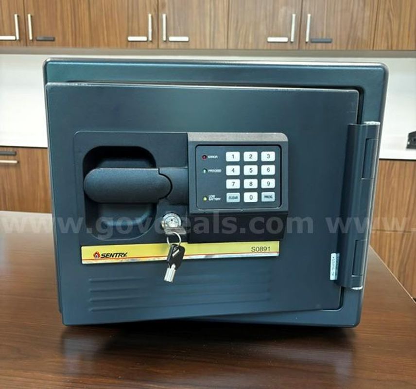 Sentry Safe