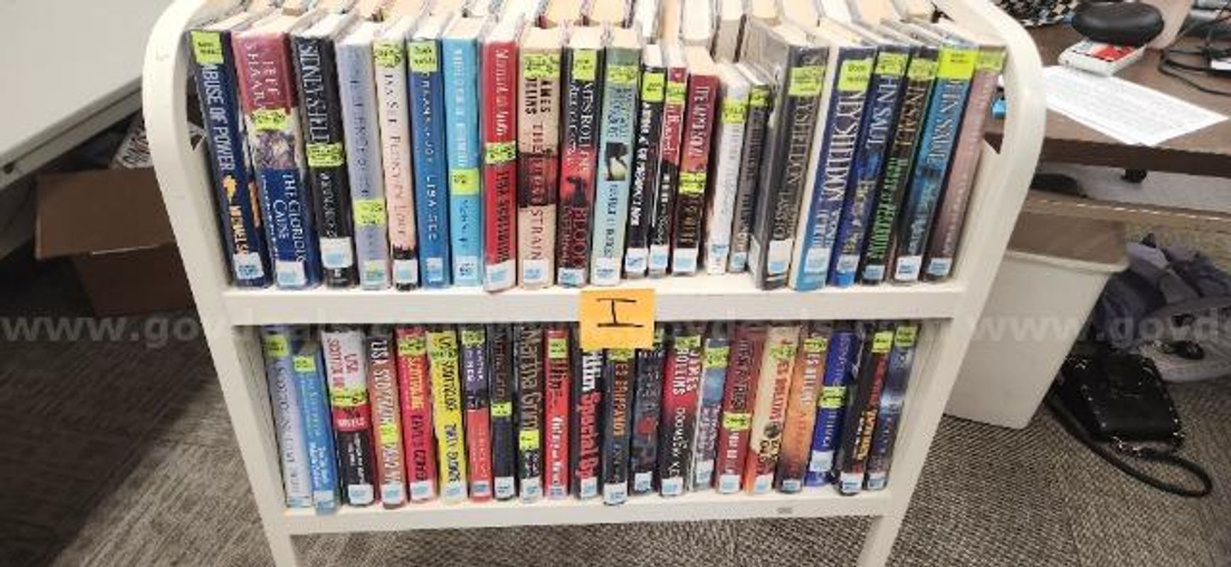 Large Lot of Books