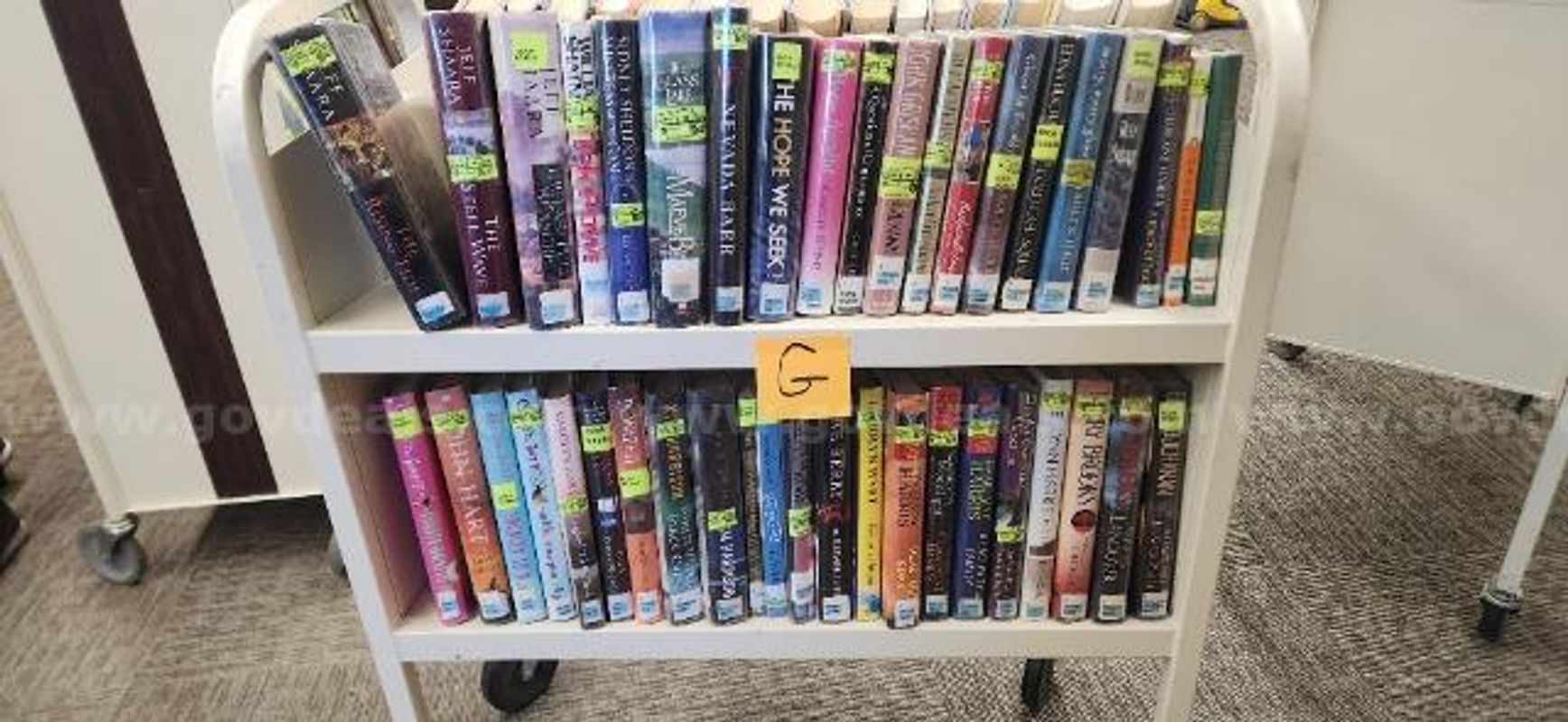 Large Lot of Books
