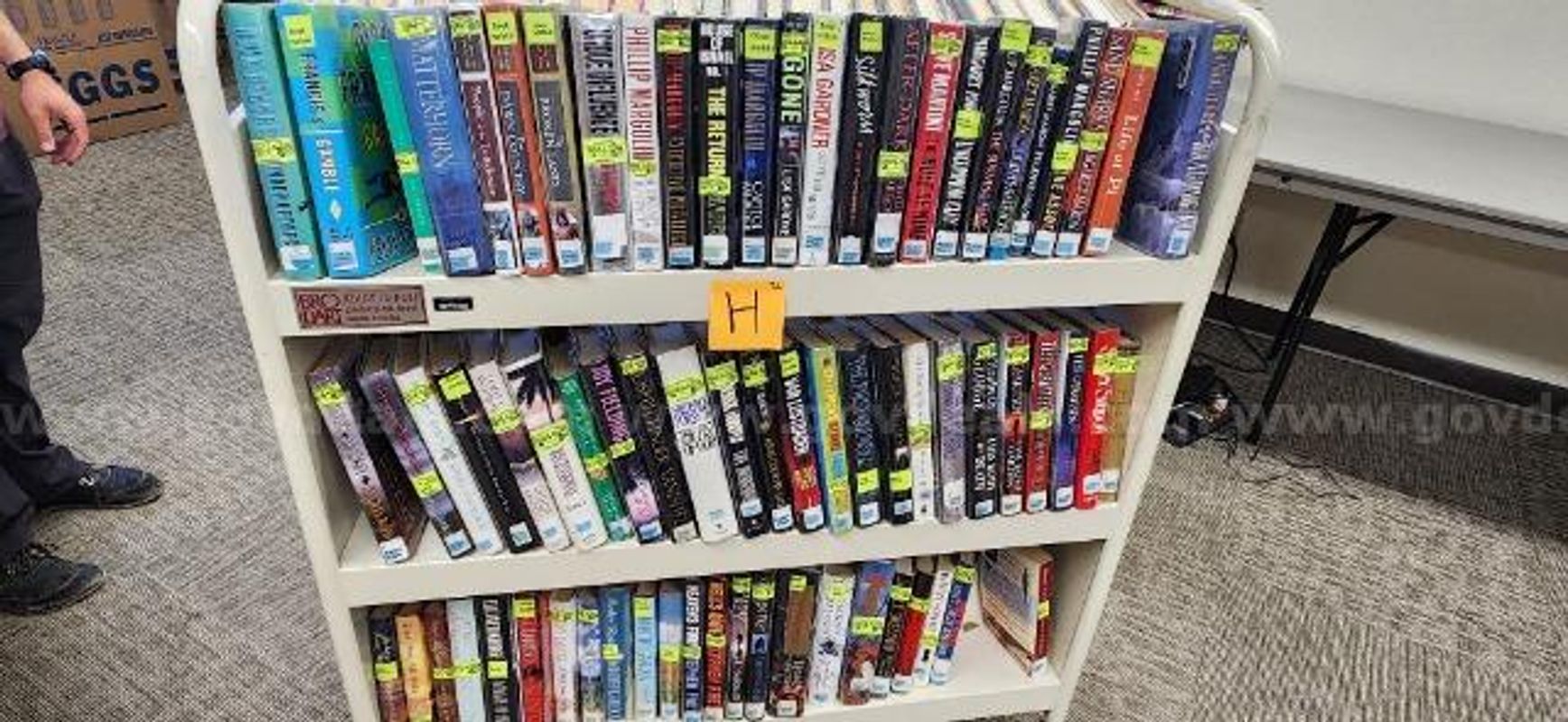 Large Lot of Books
