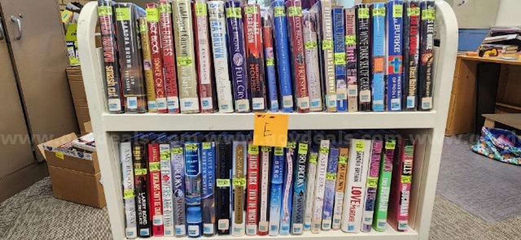Large Lot of Books