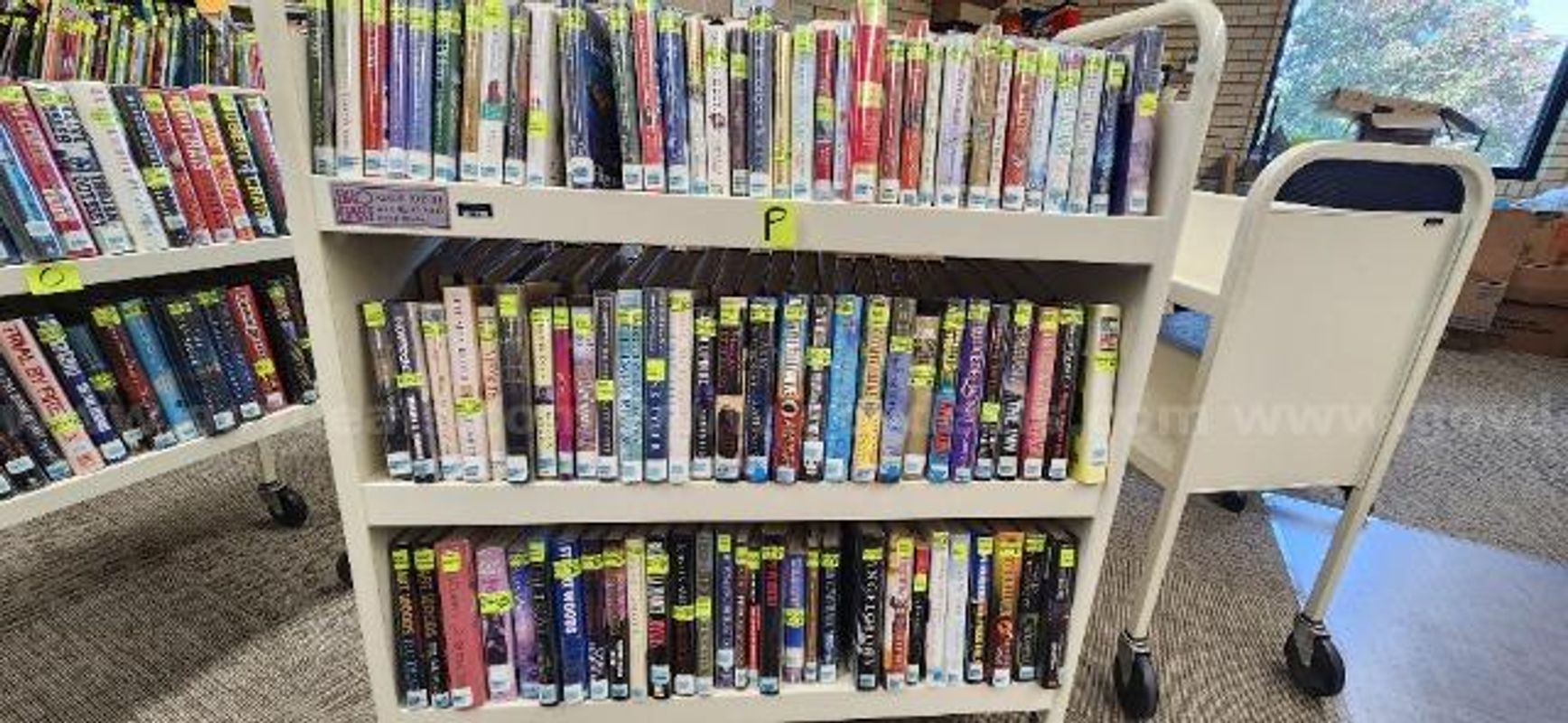Large Lot of Books Including "The Christmas Sweater"