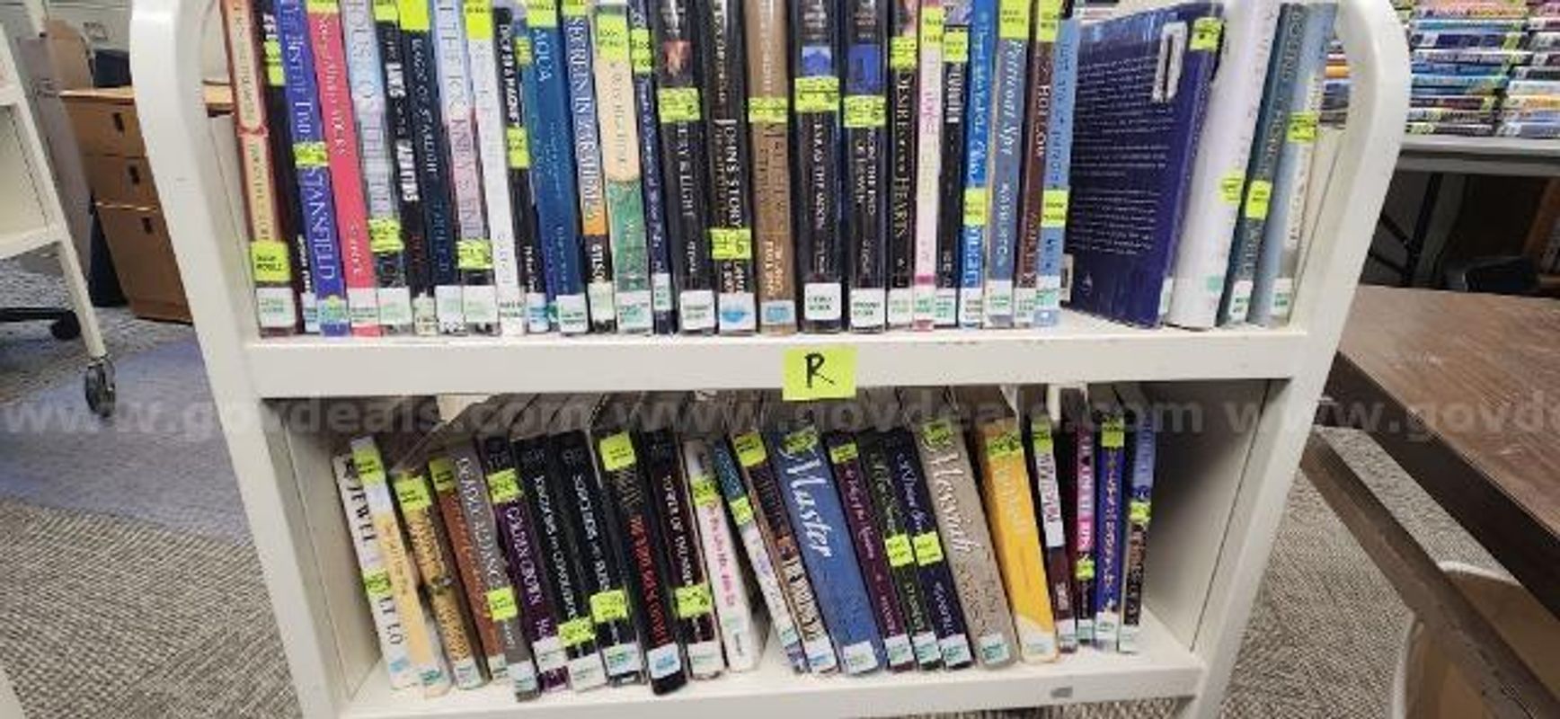 Lot of Books Including "A Distant Shore"