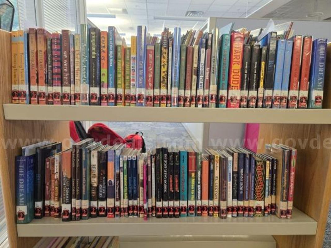 Large Lot of Picture Books and Chapter Books For Juvenile/Young Adult
