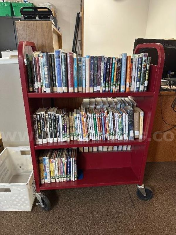 Lot of Juvenile Books