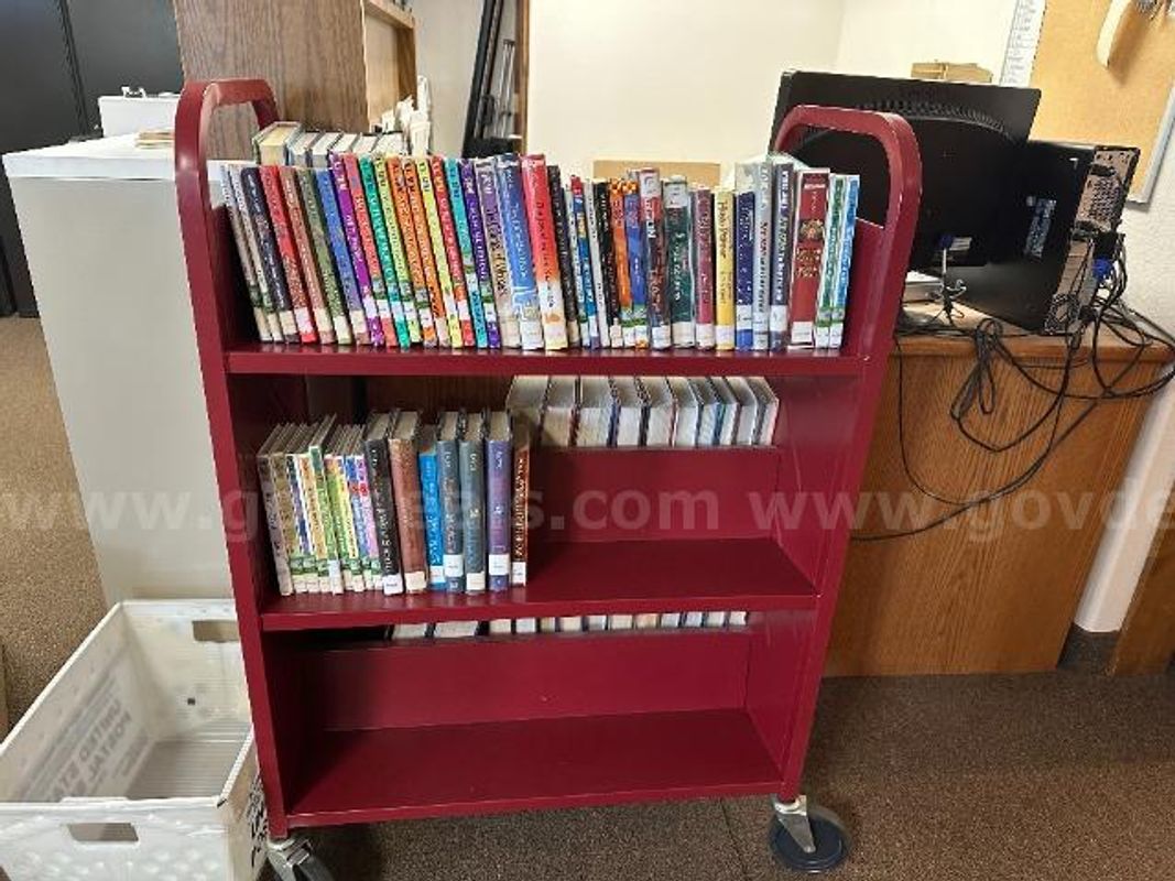 Large Lot of Juvenile Fiction Books