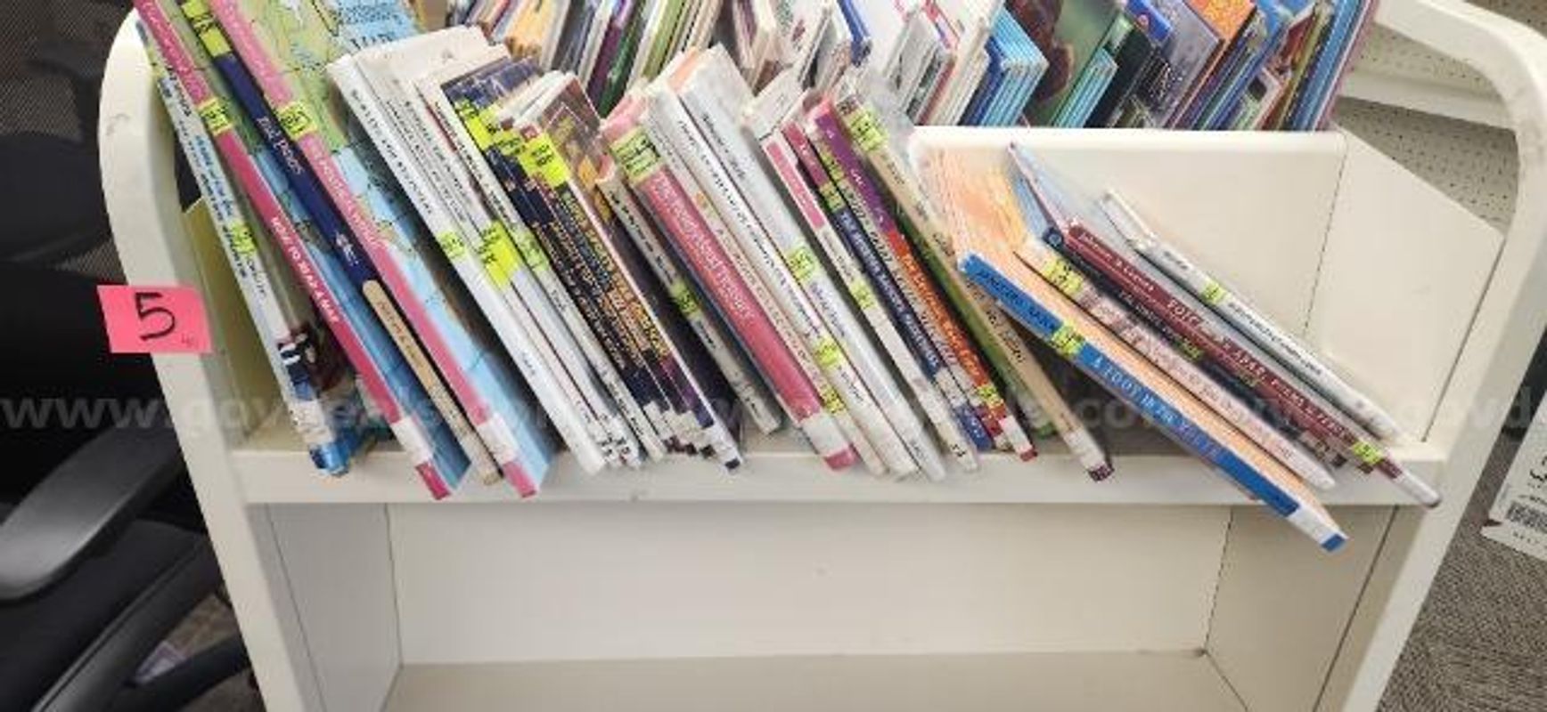 Lot of Non Fiction Juvenile Books