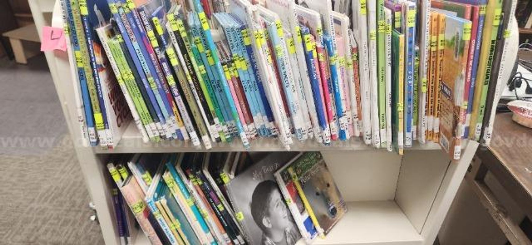 Lot of Juvenile Non Fiction Books