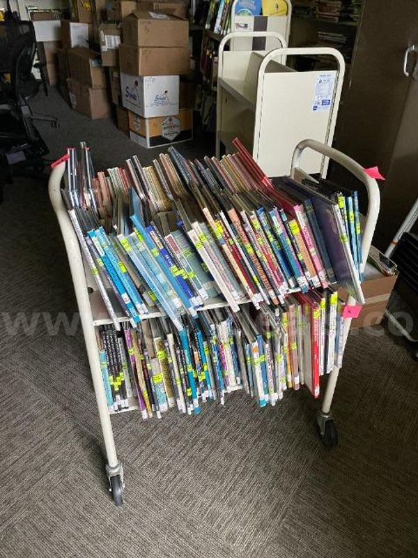 Large Lot of Juvenile Non Fiction Books