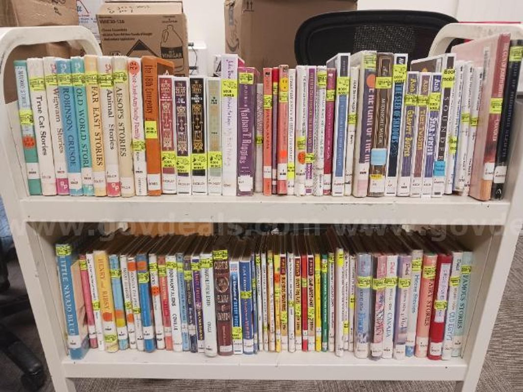 Lot of Chapter Books