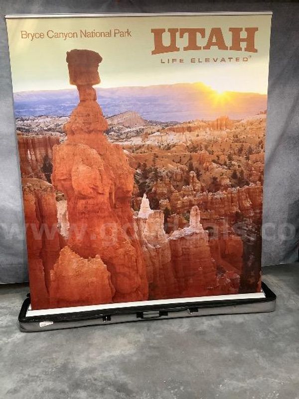 Pop-Up Screen Display
