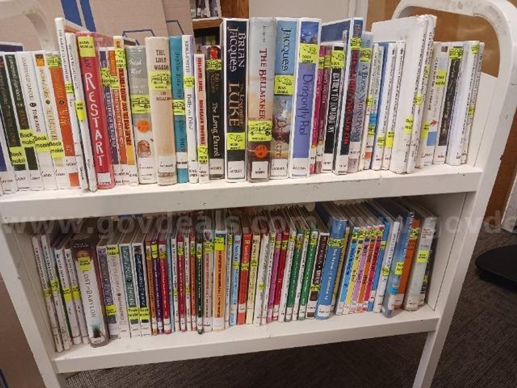 Large Lot of Juvenile Fiction Books
