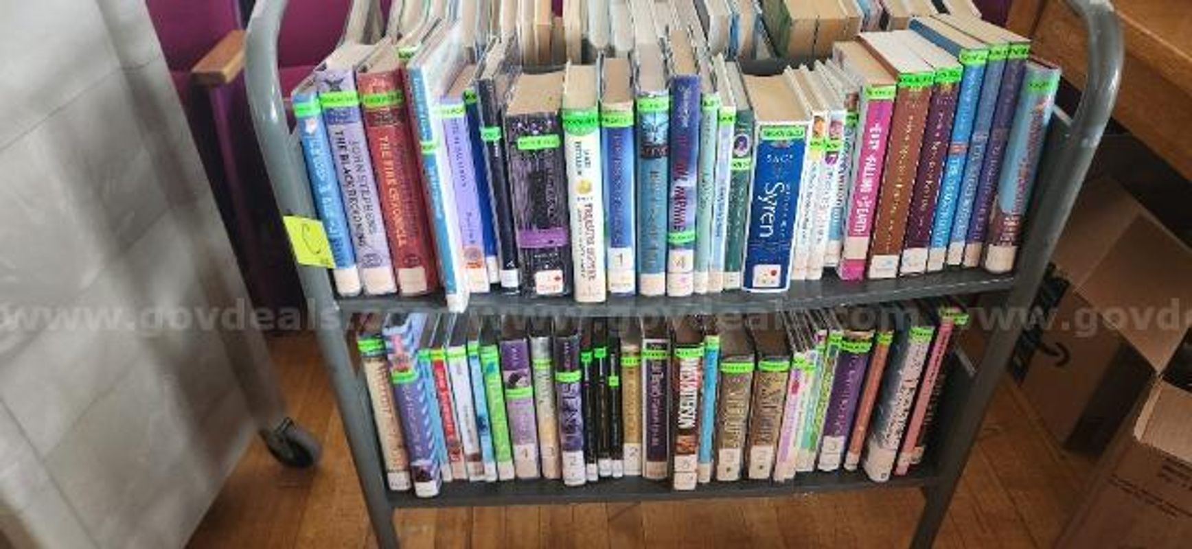 Large Lot of Juvenile Fiction Books