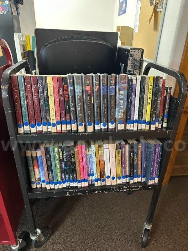 Large Lot of Adult Fiction Books
