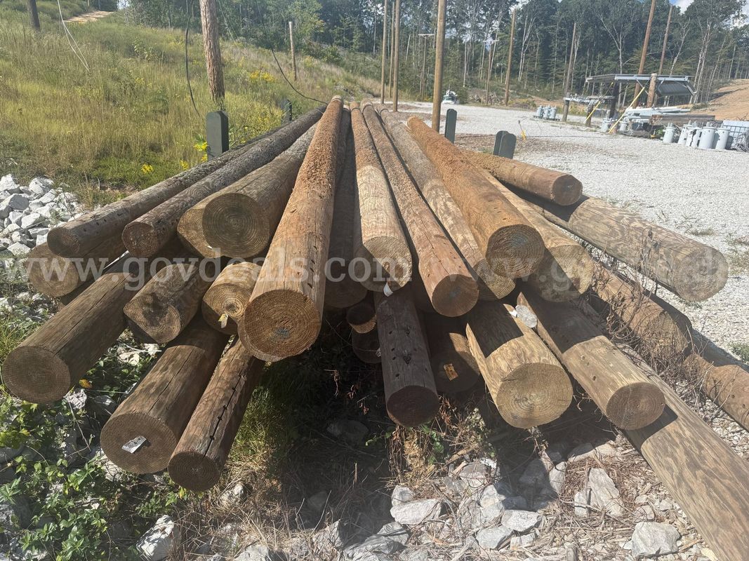 Utility Poles (Used)