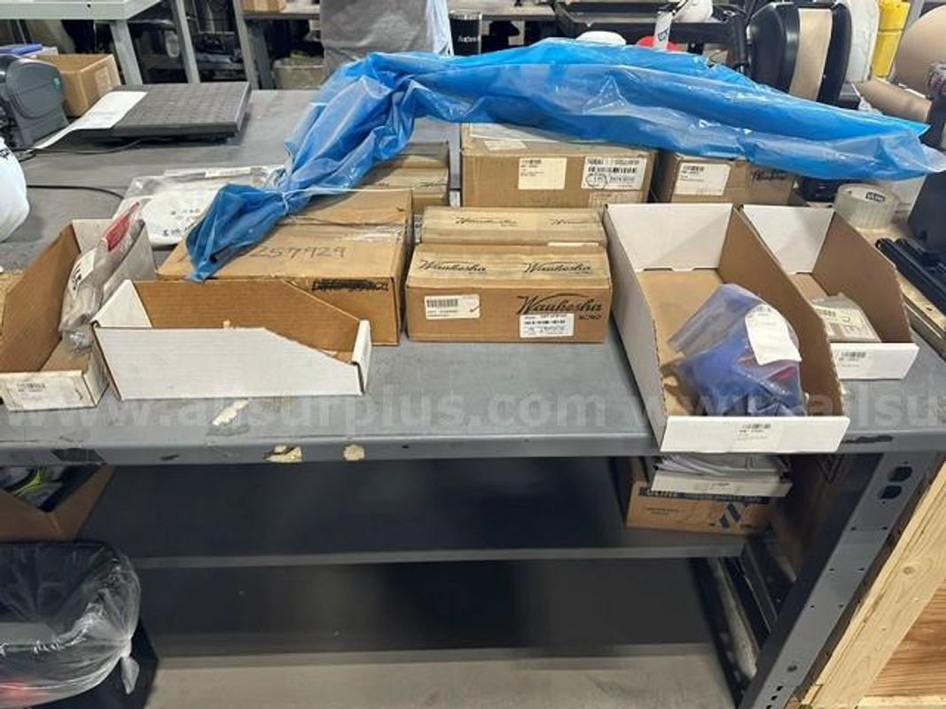 Lot of 36 items and 1,086 pcs of Waukesha engine parts for natural gas engine.