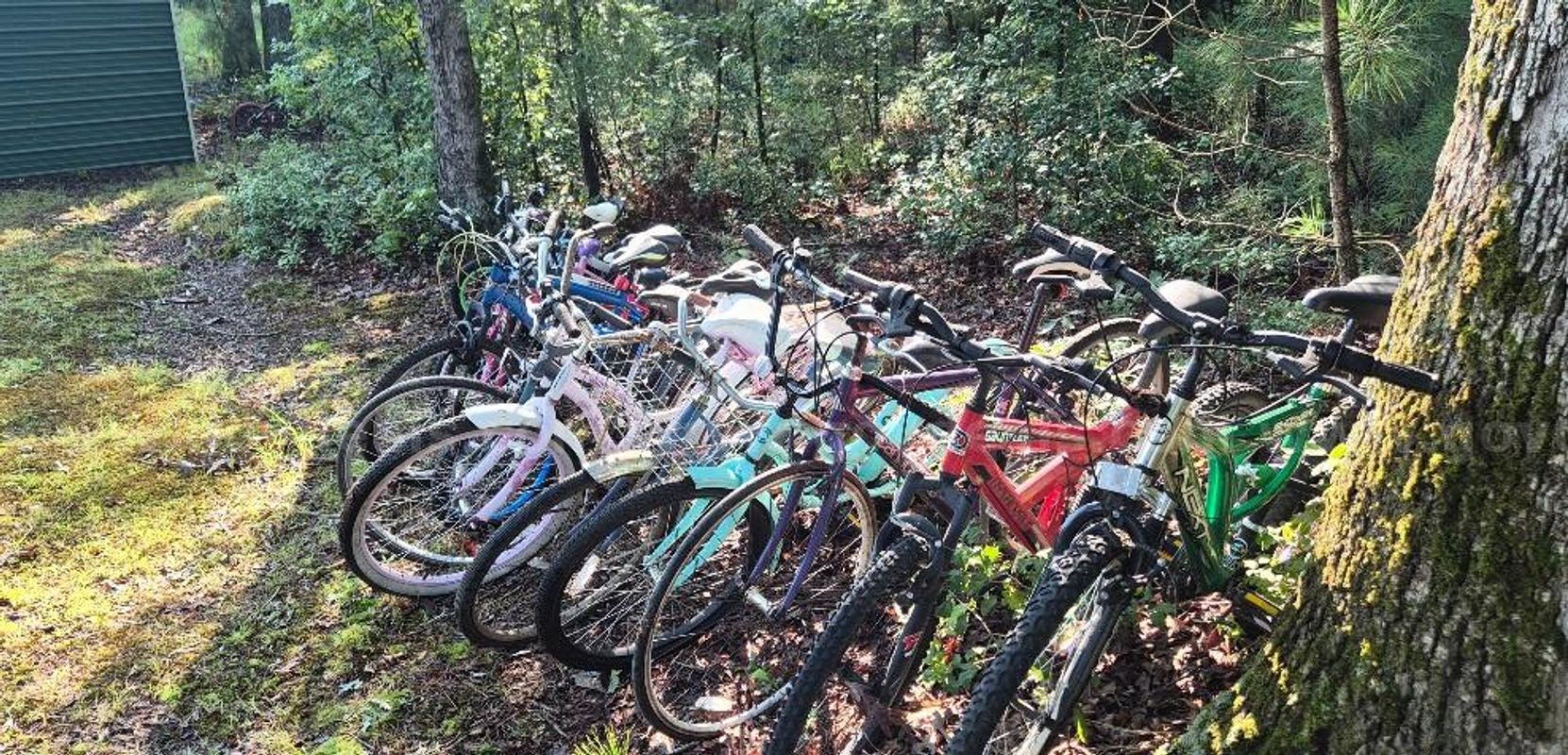 Lot of 16 Bicycles