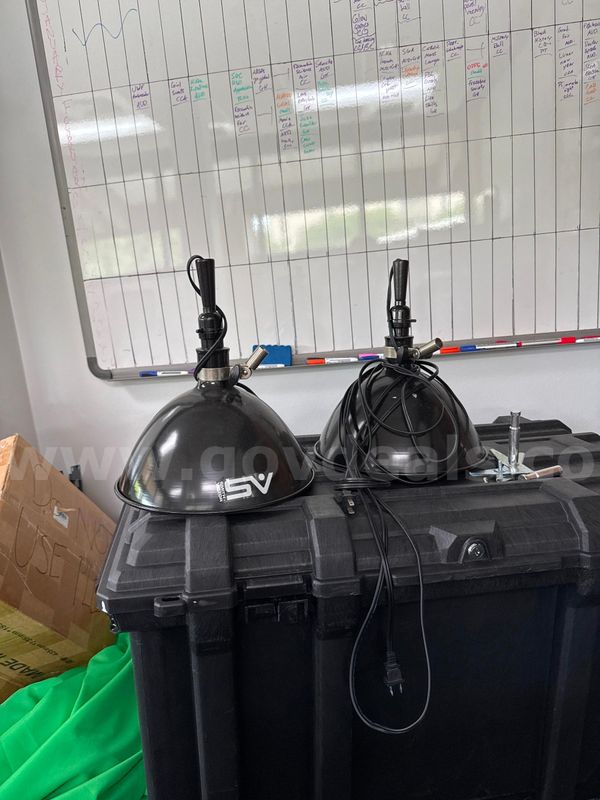 two mountable overhead lamps
