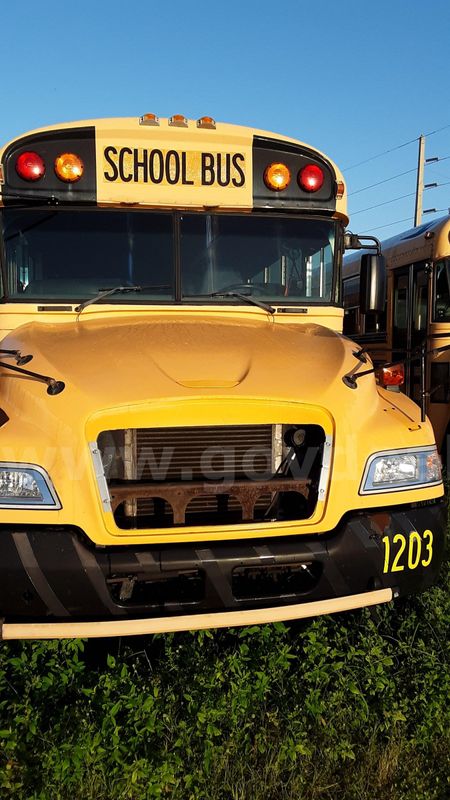 2013 Blue Bird Vision