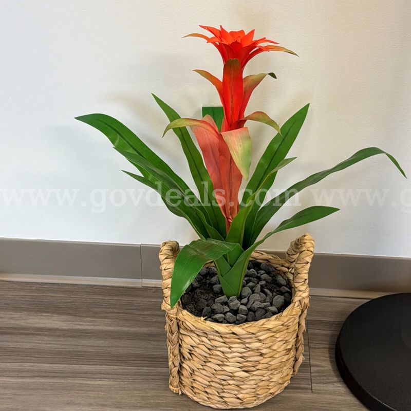 25" Tall Artificial Plant (LOCATED AT OUR CARMI, IL CAMPUS