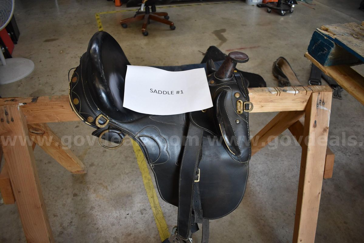 Horse Tack - Saddles and Blankets
